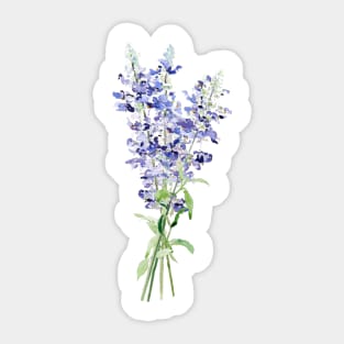 blue mealycup sage flowers bouquet watercolor Sticker